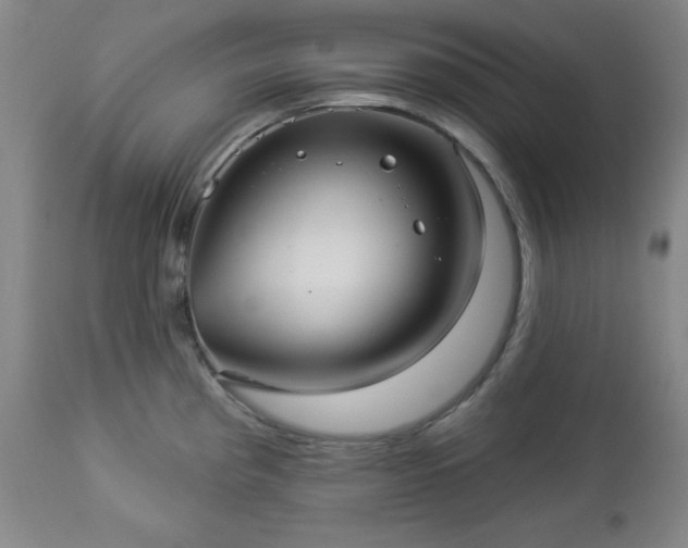 X0000112961193200909031014