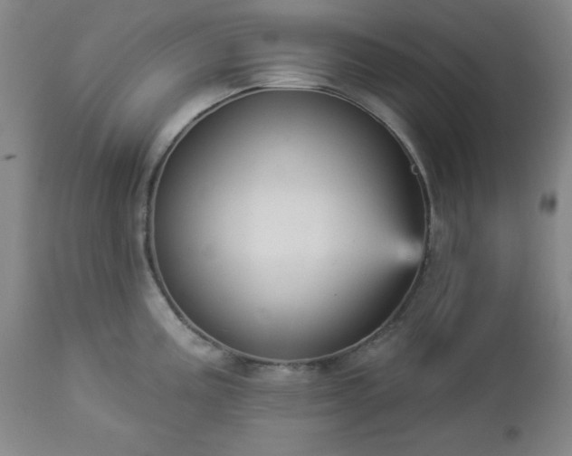 X0000112961195200909031014