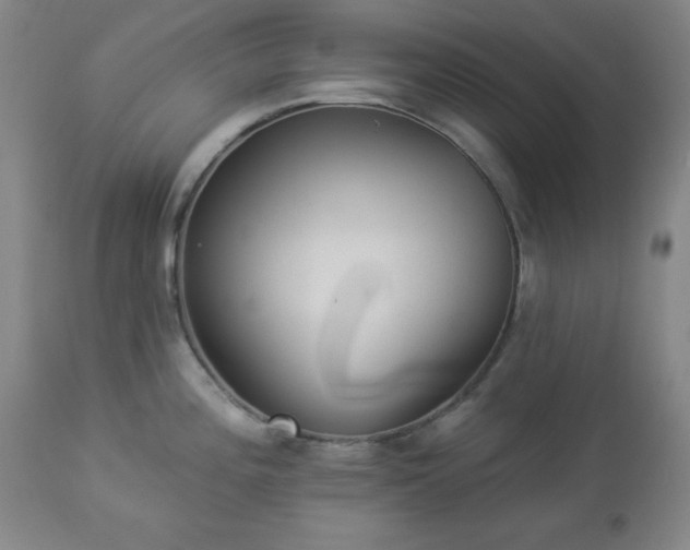 X0000112961196200909031014