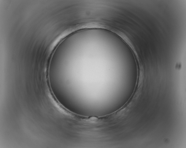 X0000112961197200909031014