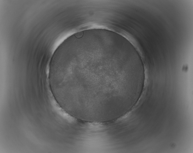 X0000112961198200909031014