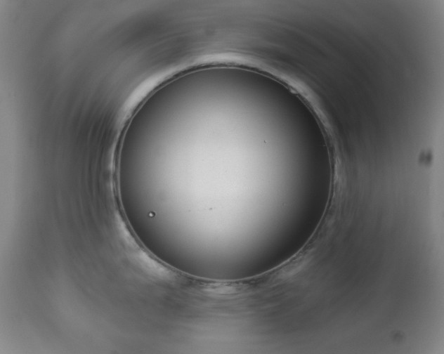 X0000112961199200909031014