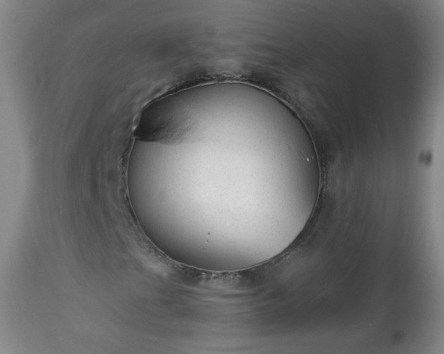 X0000112961201200909031013