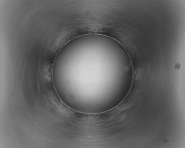 X0000112961202200909031013