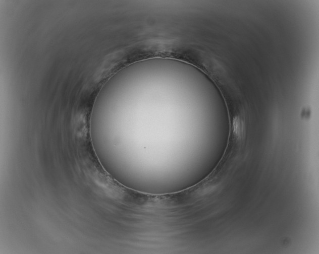 X0000112961203200909031013