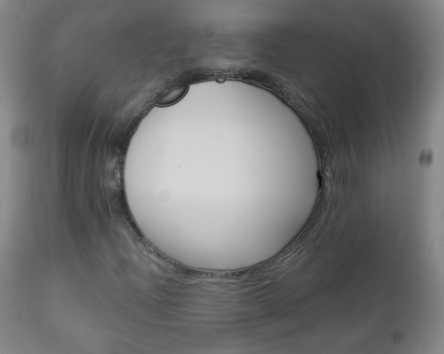 X0000112961204200909031013