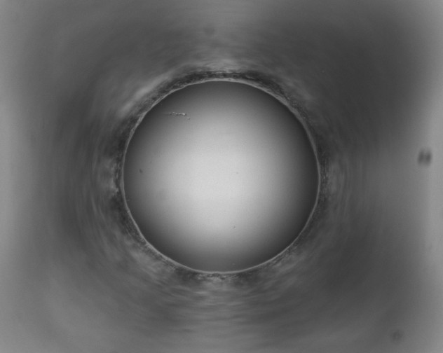 X0000112961205200909031013