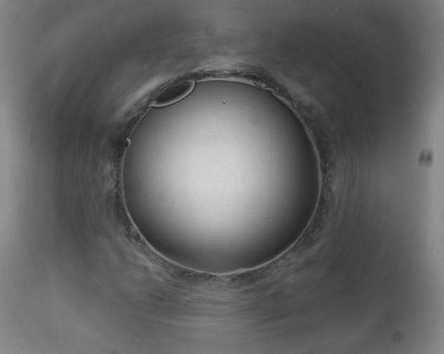 X0000112961206200909031013