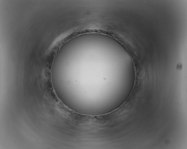 X0000112961207200909031013