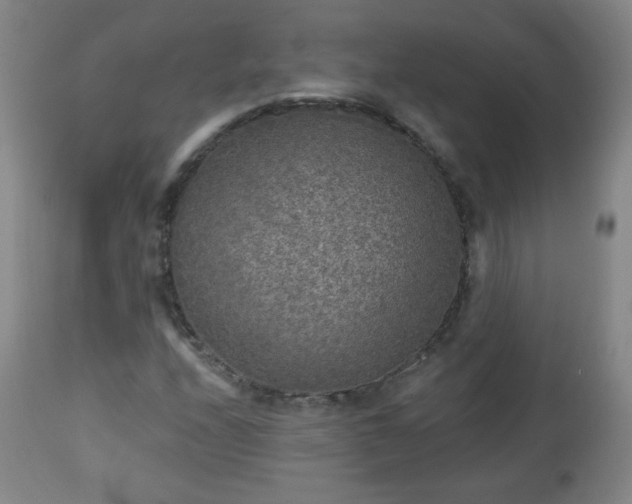 X0000112961208200909031013