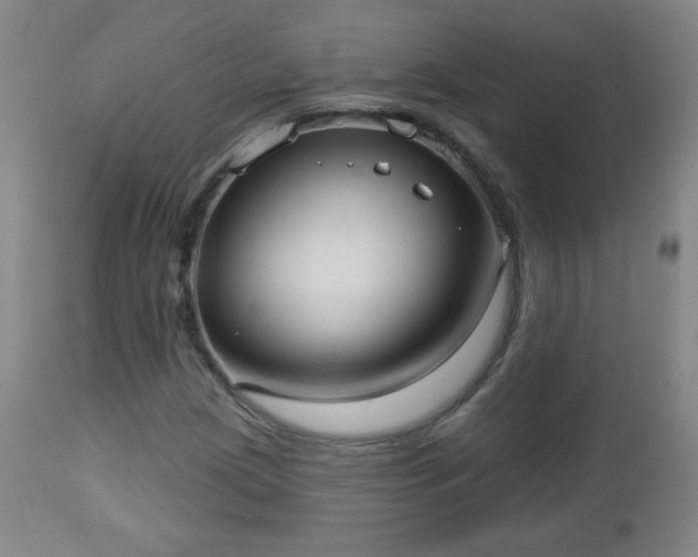 X0000112961209200909031013