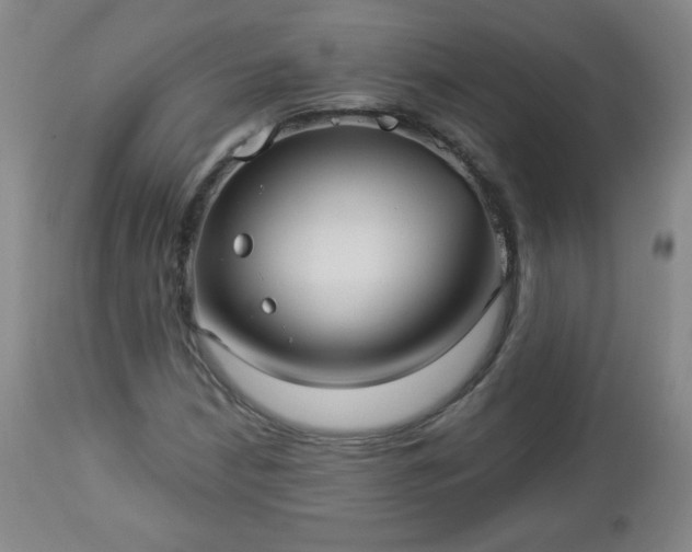 X0000112961210200909031013