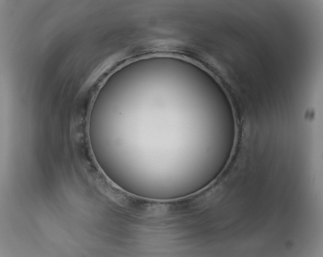 X0000112961211200909031013