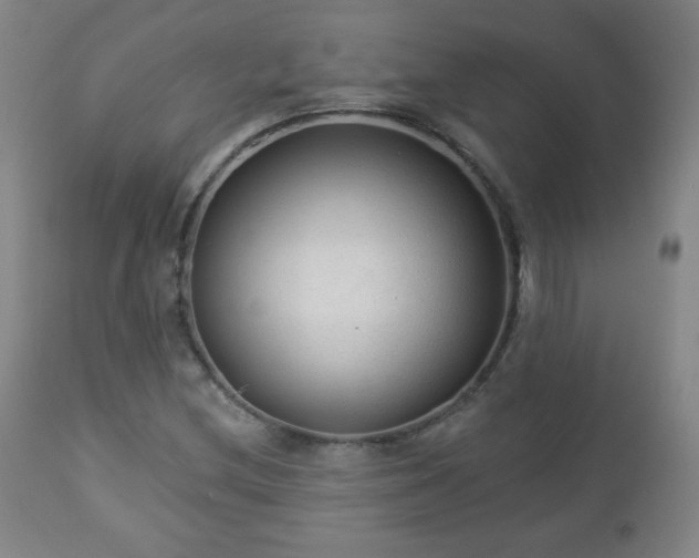 X0000112961212200909031013