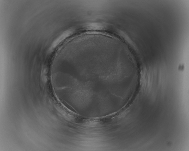 X0000112961213200909031013