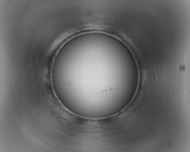 X0000112961215200909031013