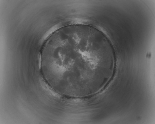 X0000112961219200909031014