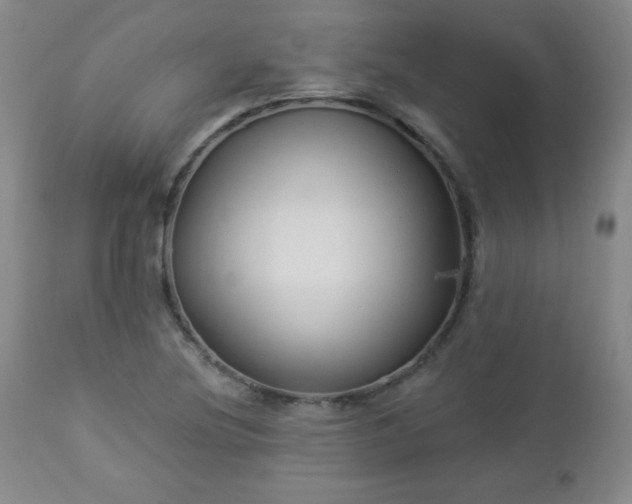 X0000112961220200909031014