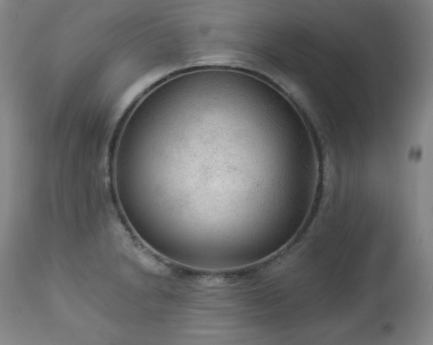 X0000112961230200909031014