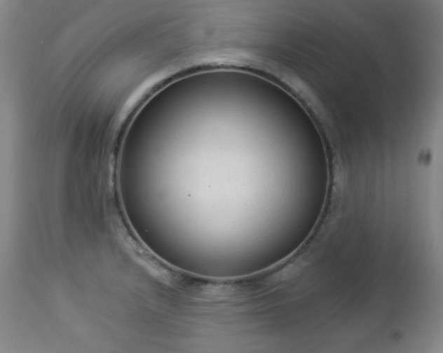 X0000112961232200909031014