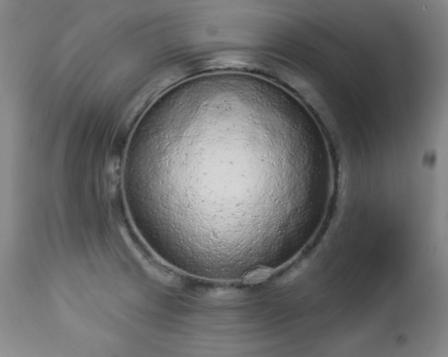 X0000112961233200909031014