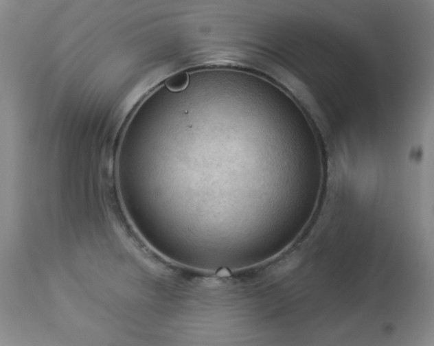 X0000112961234200909031014