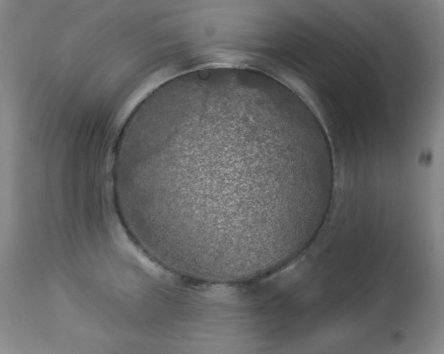 X0000112961235200909031014