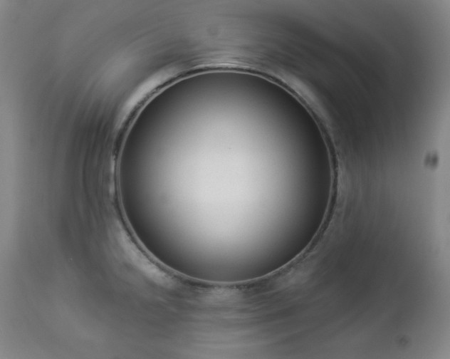 X0000112961238200909031014