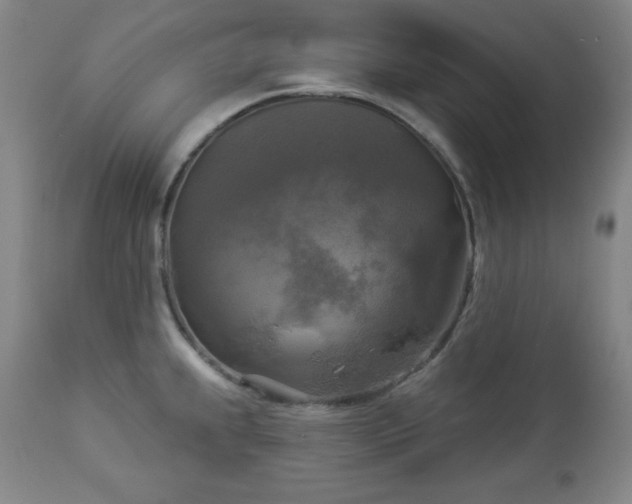 X0000112961239200909031014