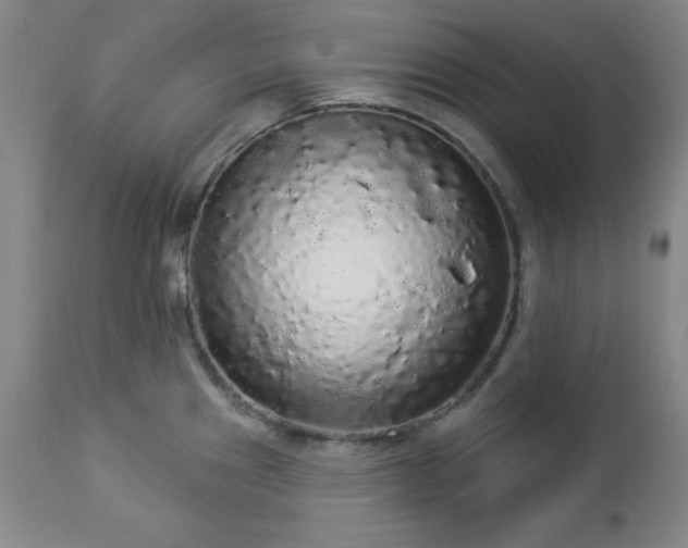 X0000112961241200909031014