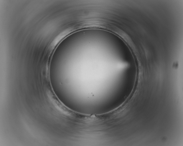 X0000112961242200909031014