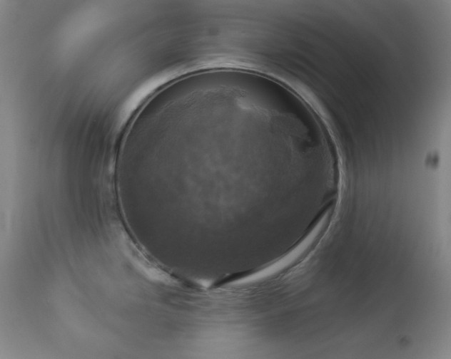 X0000112961246200909031014