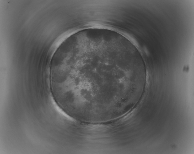 X0000112961247200909031014