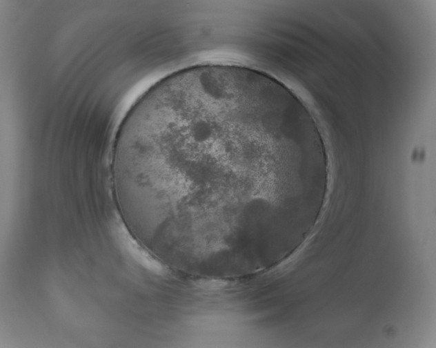 X0000112961248200909031014