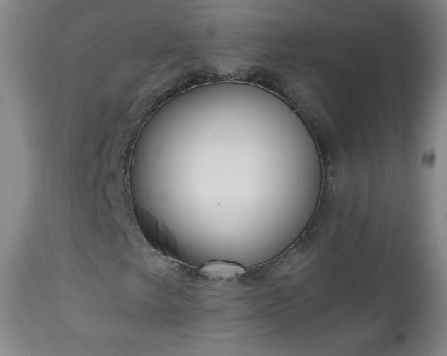 X0000112961249200909031013