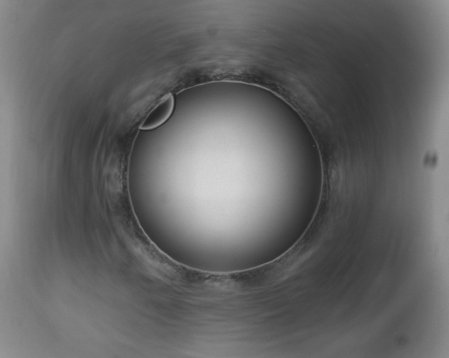 X0000112961250200909031013