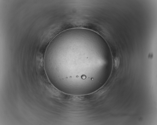 X0000112961251200909031013