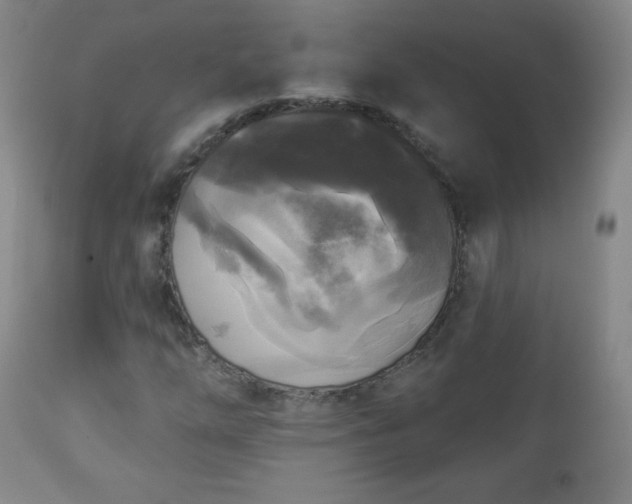 X0000112961254200909031013