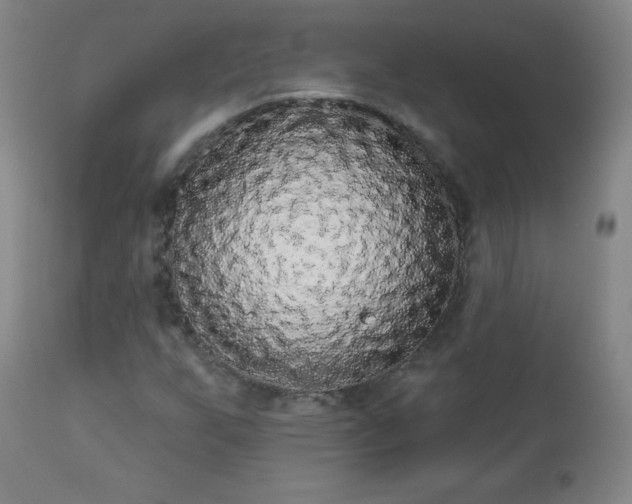 X0000112961255200909031013