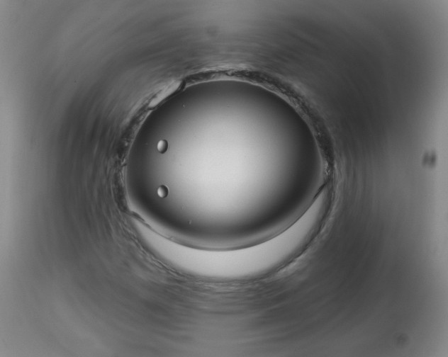 X0000112961257200909031013