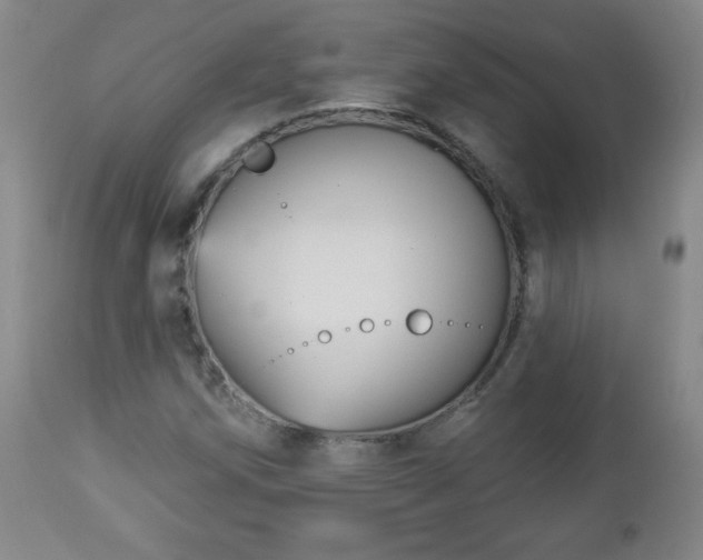 X0000112961258200909031013