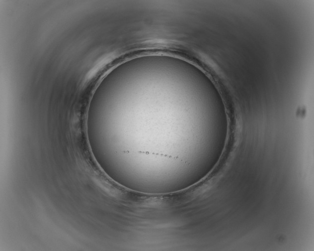 X0000112961259200909031013