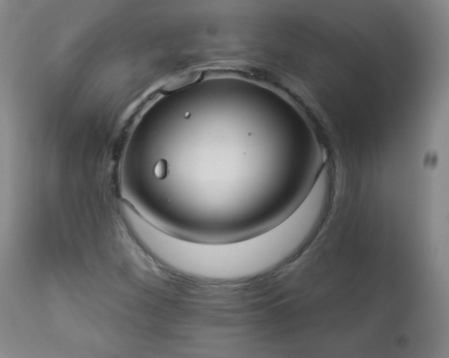 X0000112961260200909031013