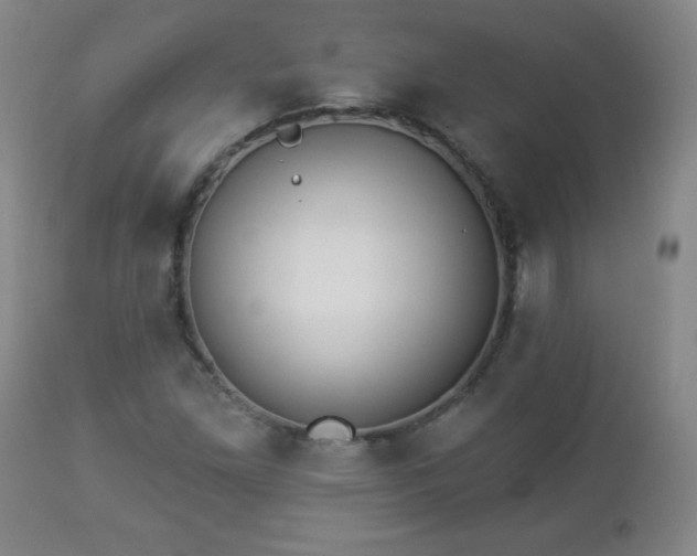 X0000112961261200909031013