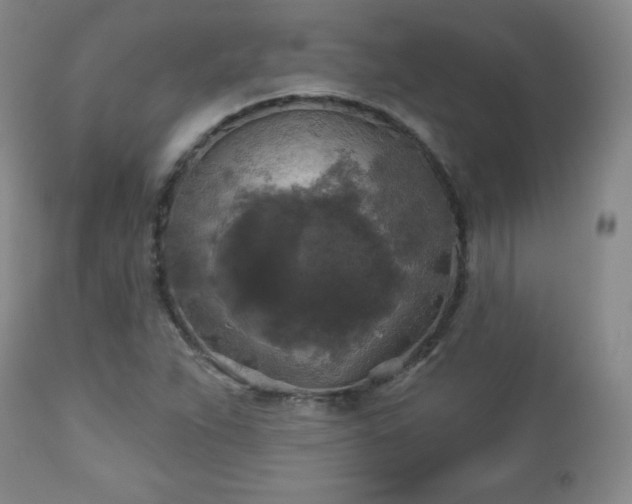 X0000112961263200909031013