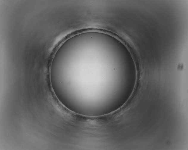 X0000112961264200909031013