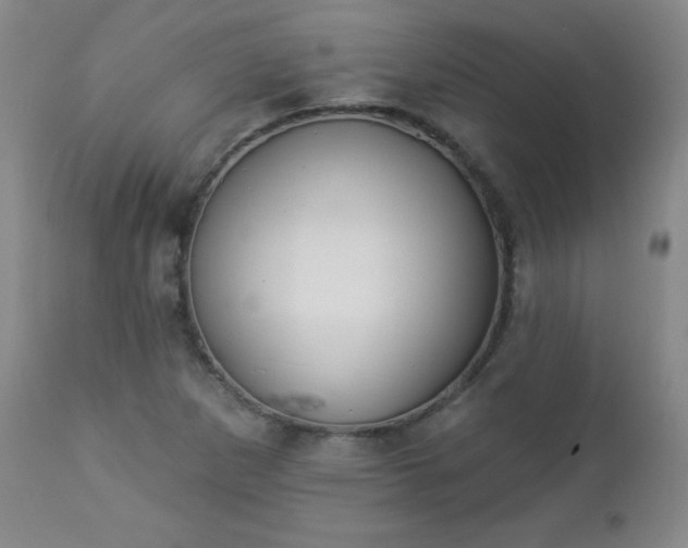 X0000112961265200909031013