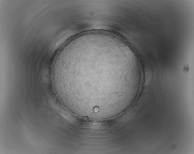 X0000112961266200909031013