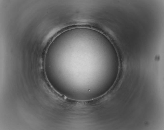 X0000112961267200909031013