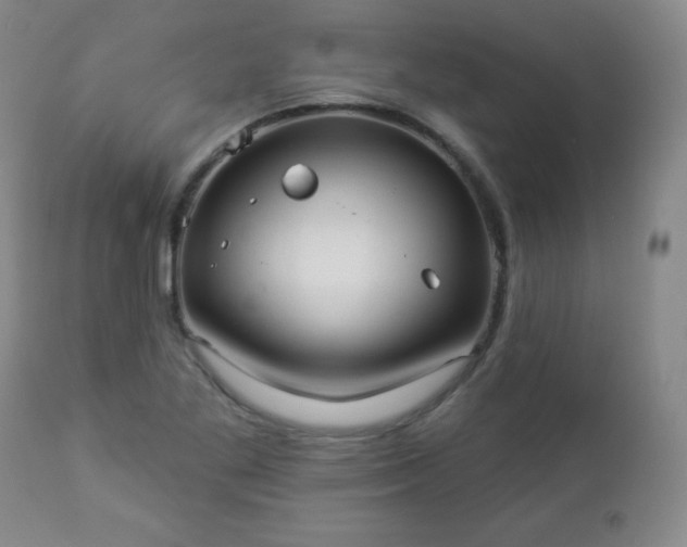 X0000112961269200909031013